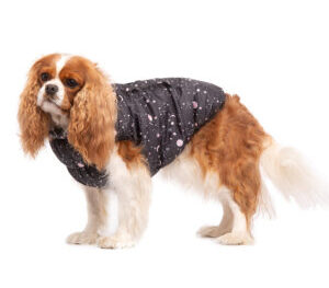 SIRKO sport "constellation"