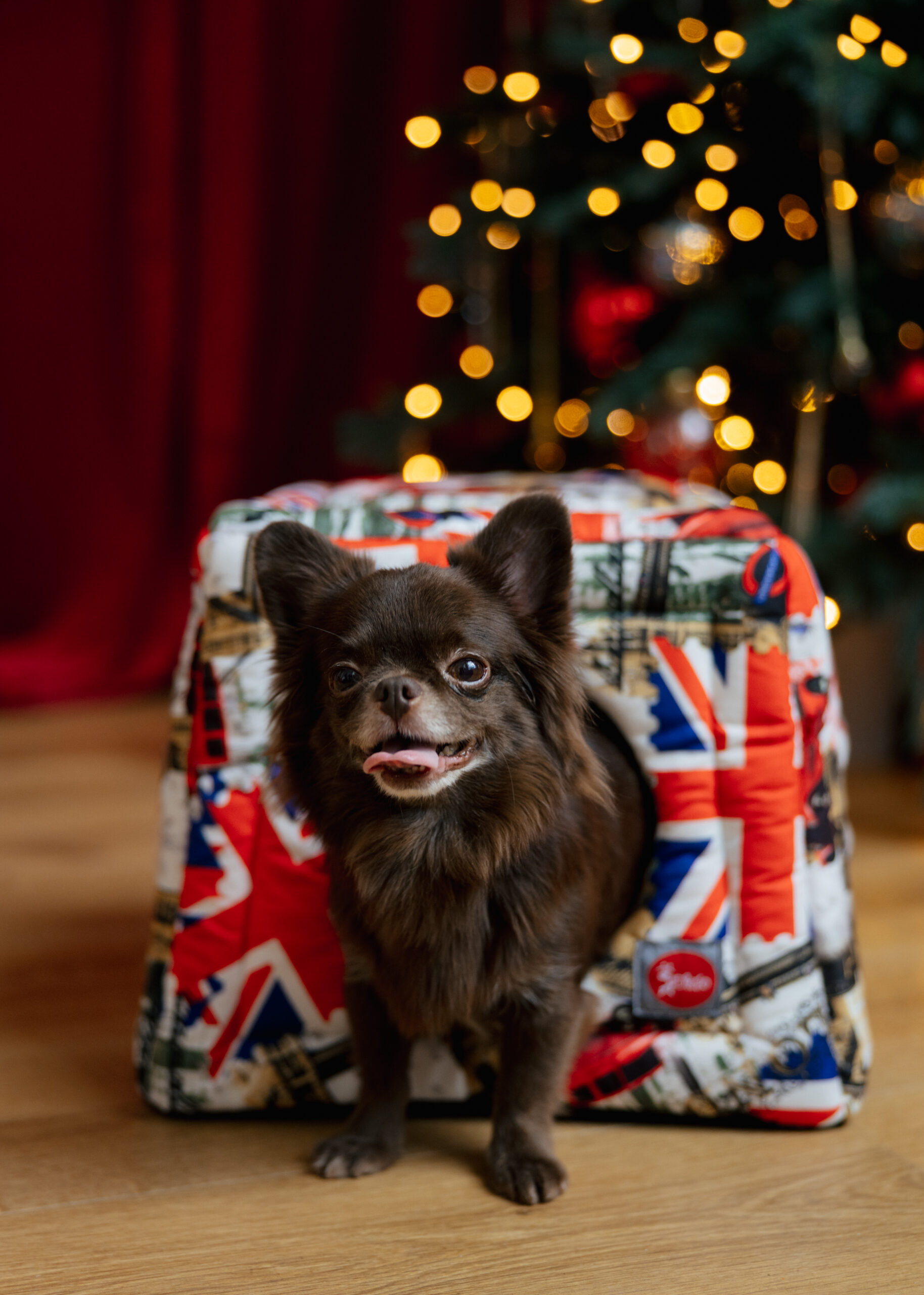 SIRKO rest transformer "Britain" - Image 2