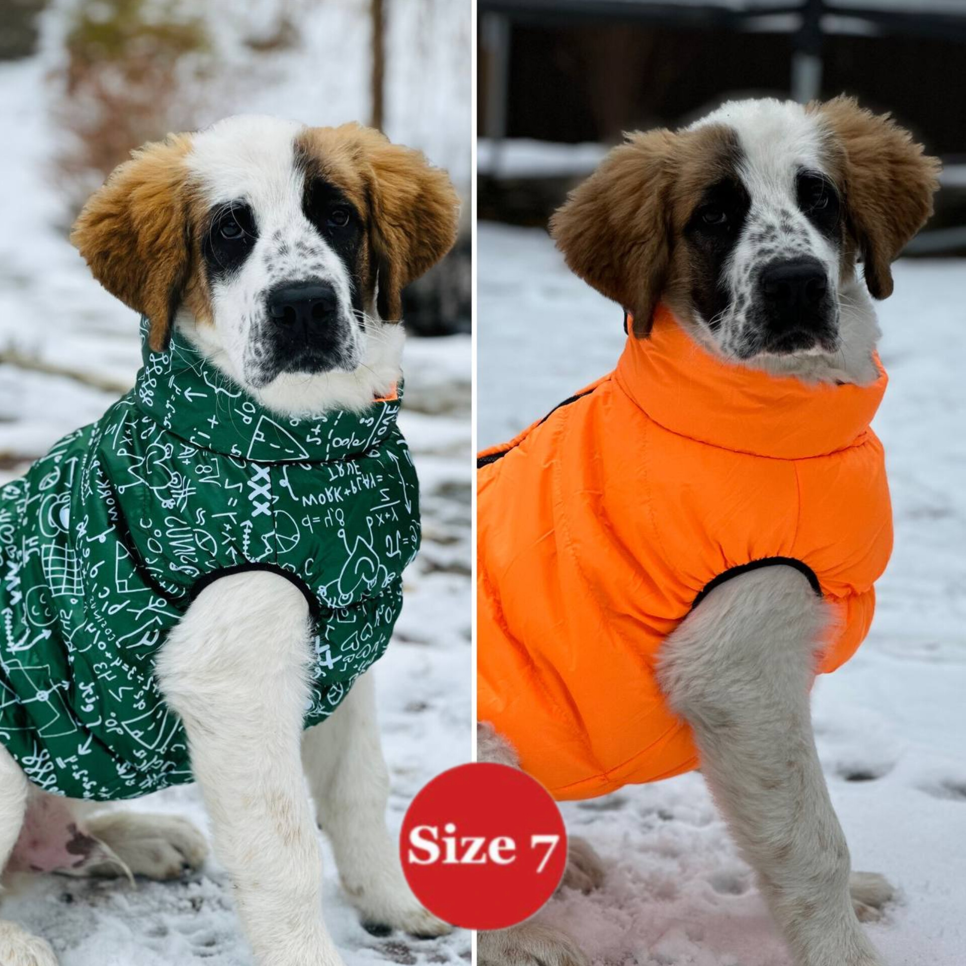 SIRKO sport double "pythagoras green" - Image 4