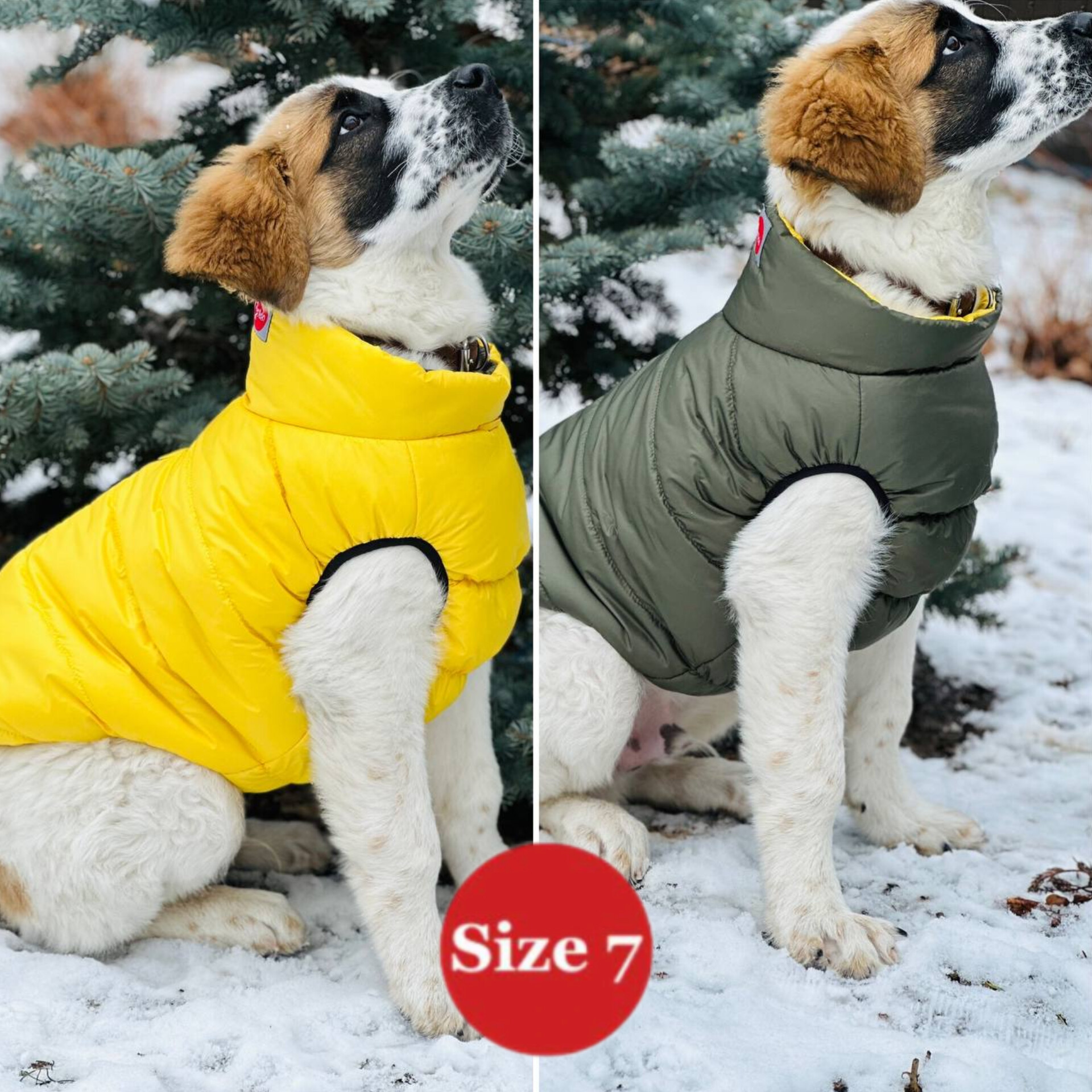 SIRKO sport double "khaki-yellow" - Image 4