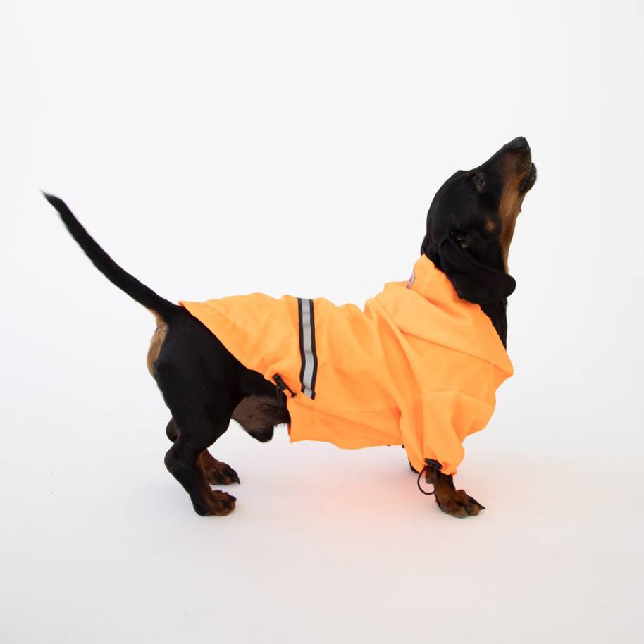 SIRKO jacket orange - Image 5