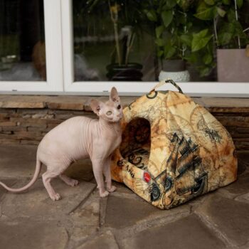 SIRKO rest transformer oval "Brig"