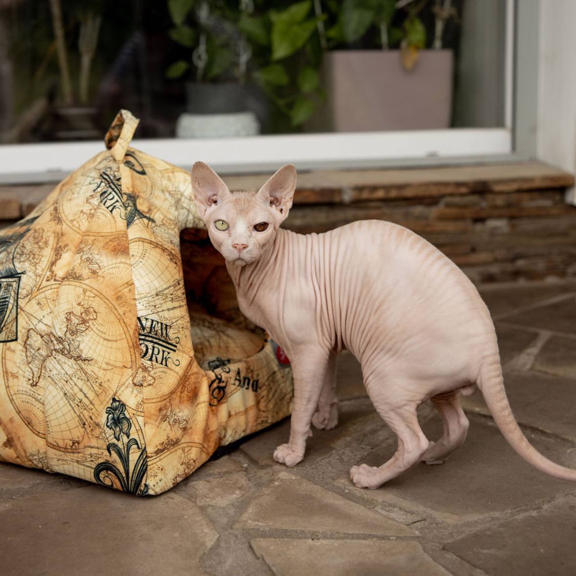 SIRKO rest transformer oval "Brig" - Image 2