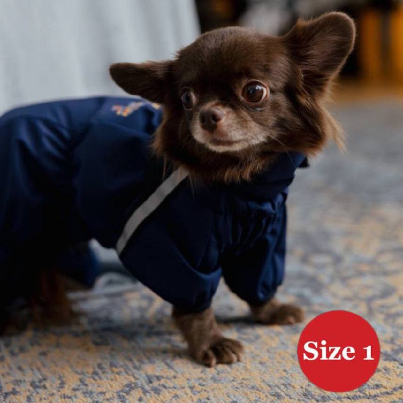 SIRKO rain print F - Image 3