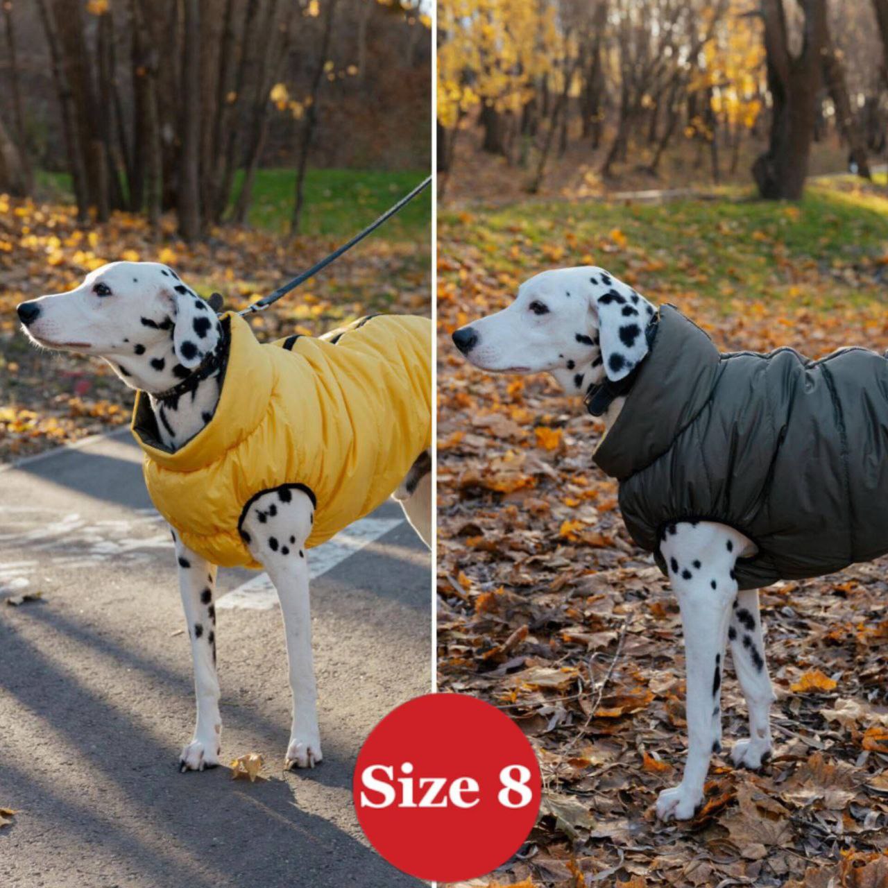 SIRKO sport double "khaki-yellow" - Image 5