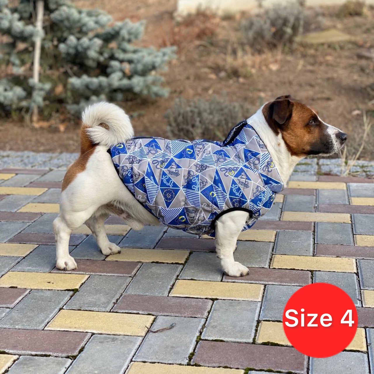 SIRKO sport "marine" - Image 4