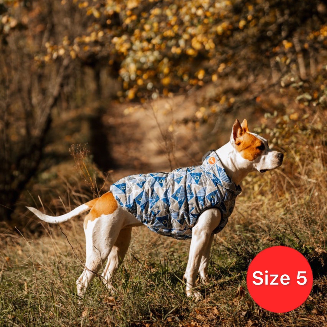 SIRKO sport "marine" - Image 5