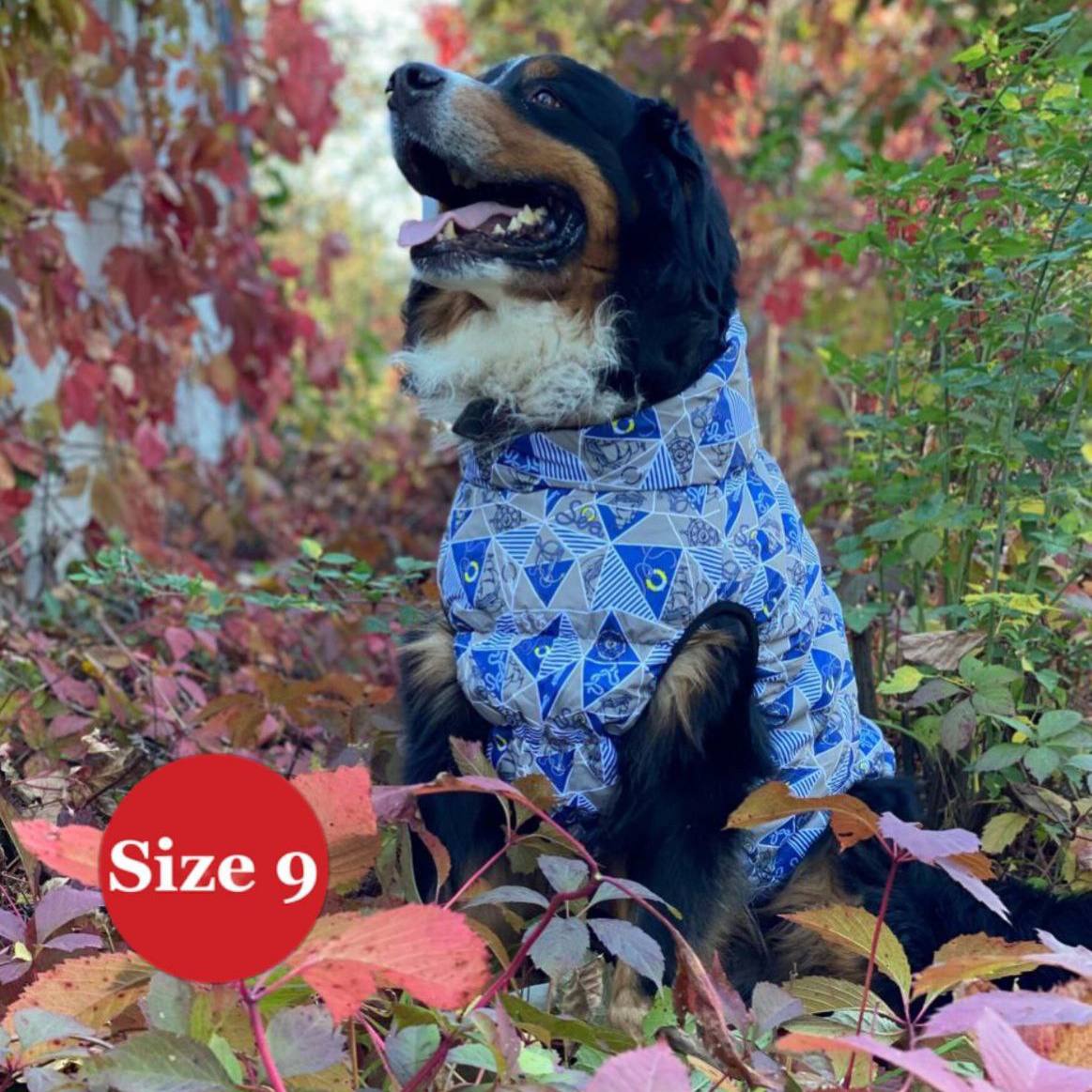 SIRKO sport "marine" - Image 7