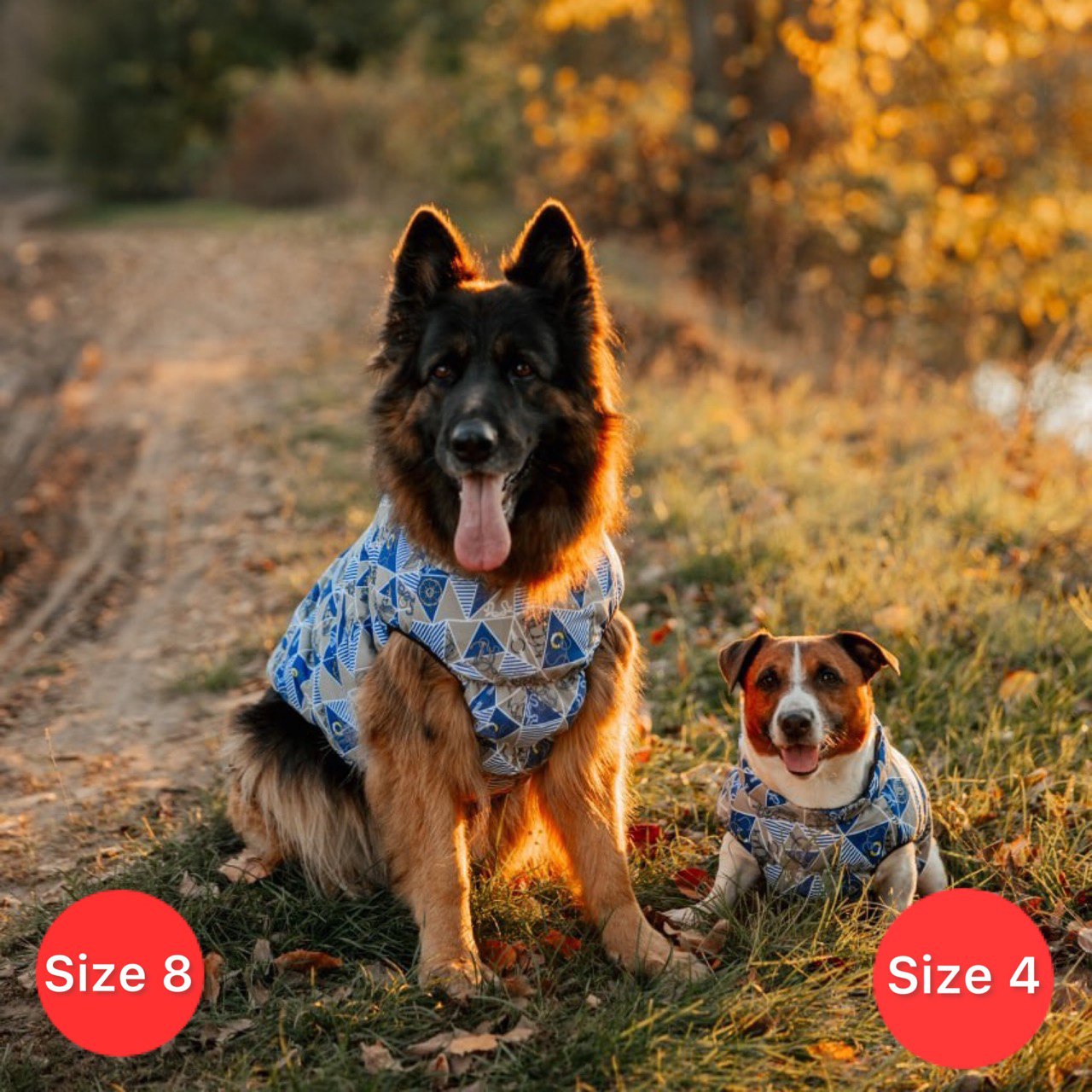 SIRKO sport "marine" - Image 6