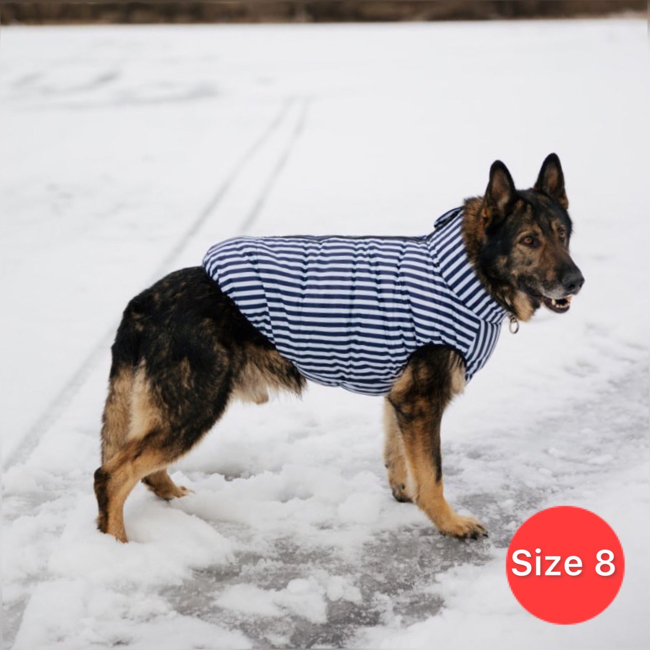 SIRKO sport "strip" - Image 5