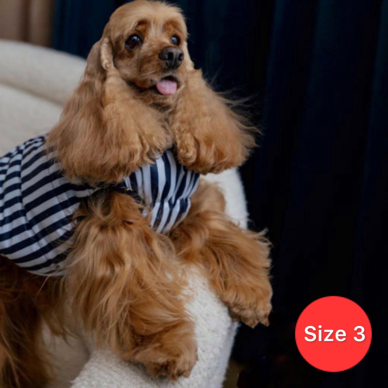 SIRKO sport "strip" - Image 3