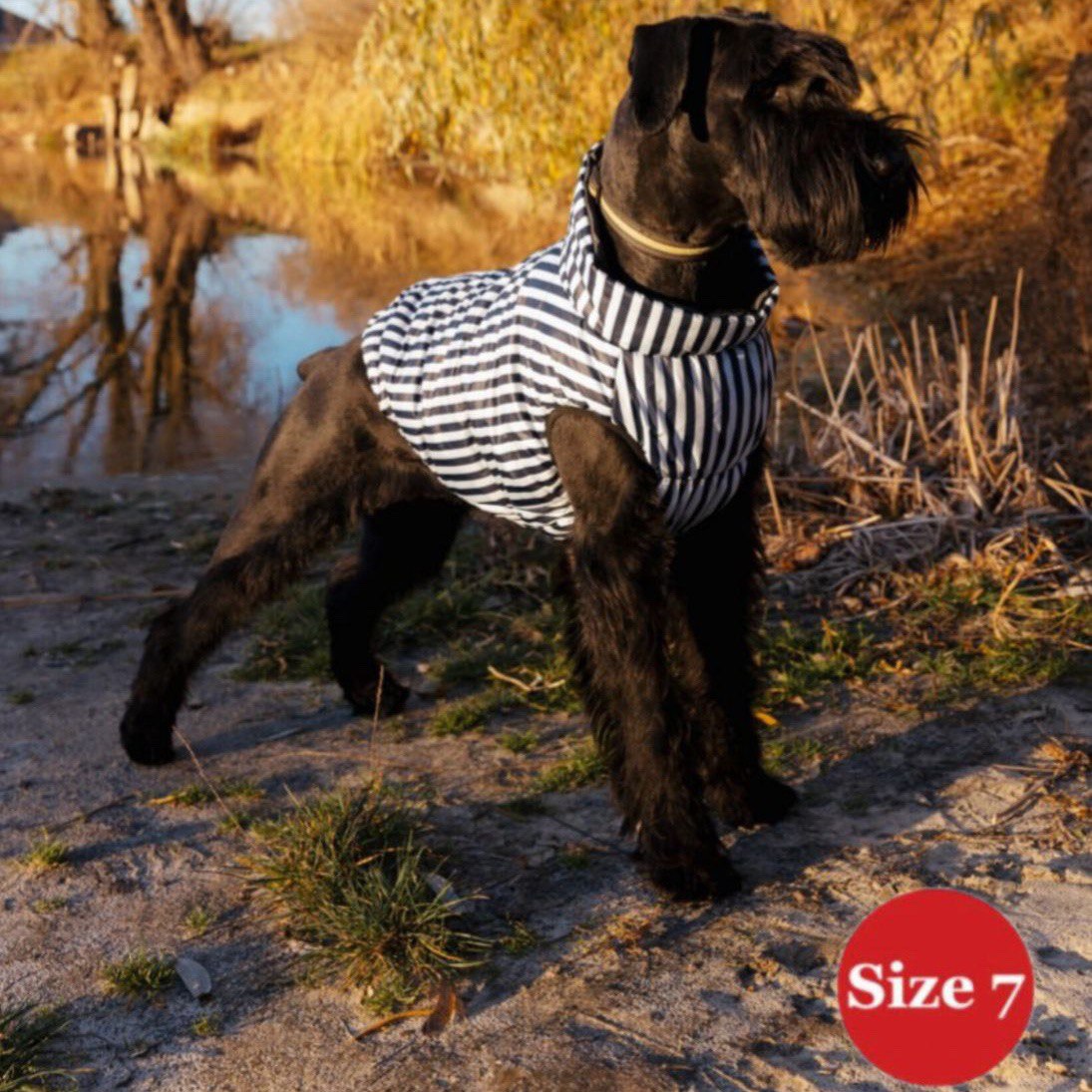 SIRKO sport "strip" - Image 4