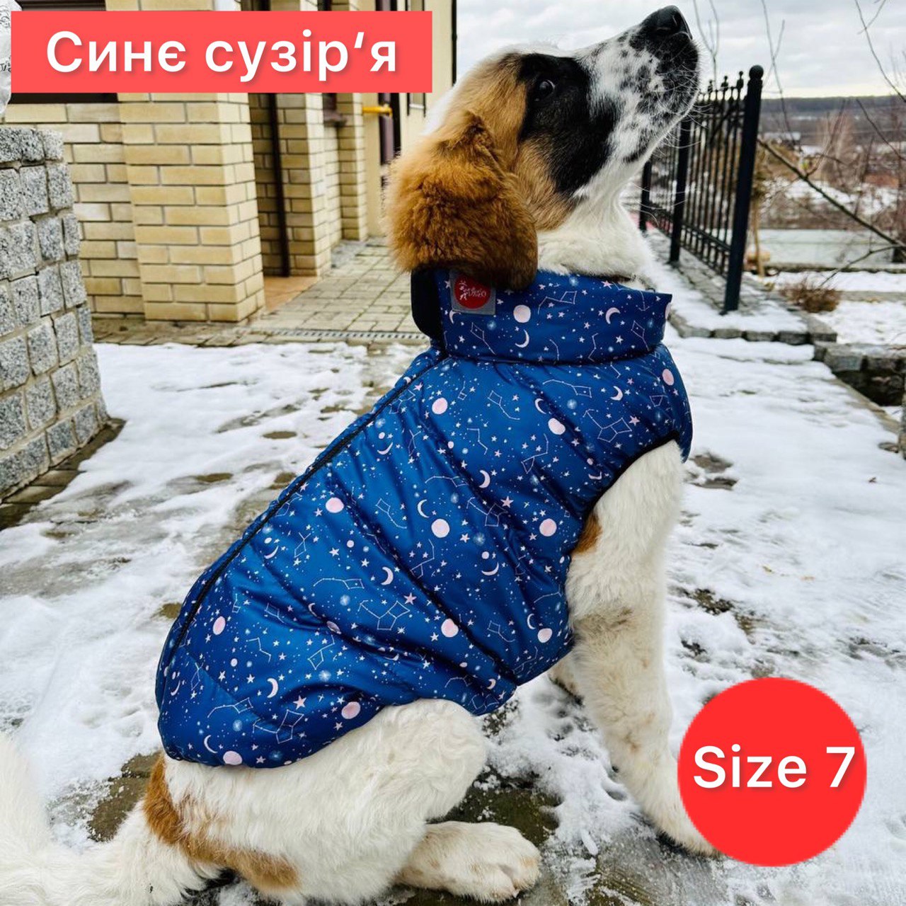 SIRKO sport "constellation" - Image 6