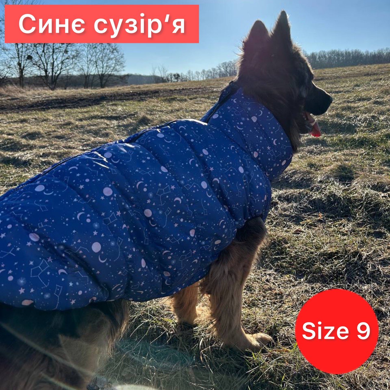 SIRKO sport "constellation" - Image 5