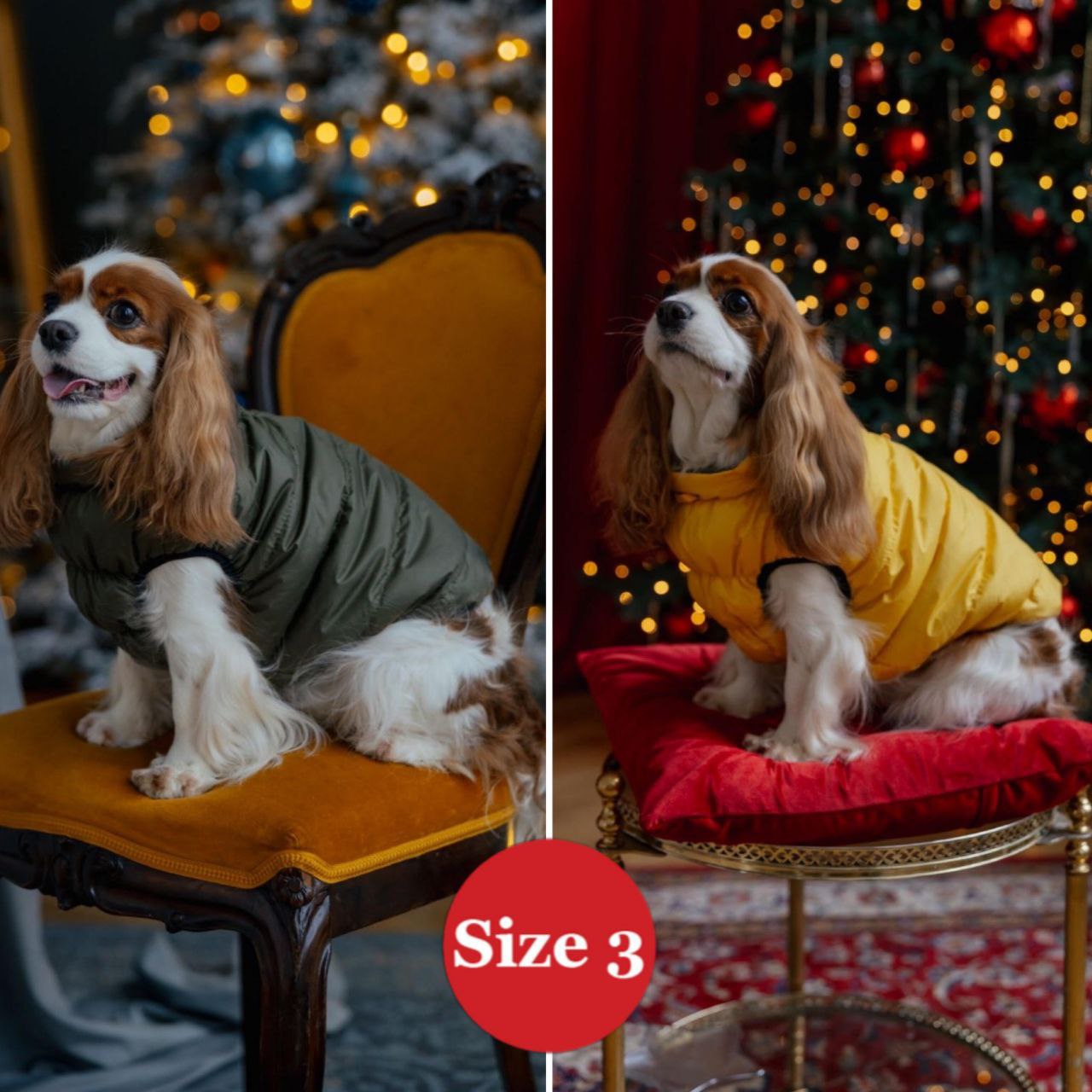 SIRKO sport double "khaki-yellow" - Image 3