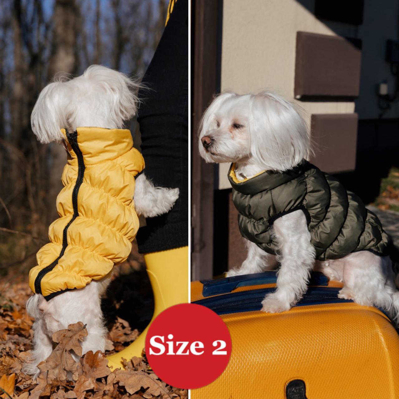 SIRKO sport double "khaki-yellow" - Image 2