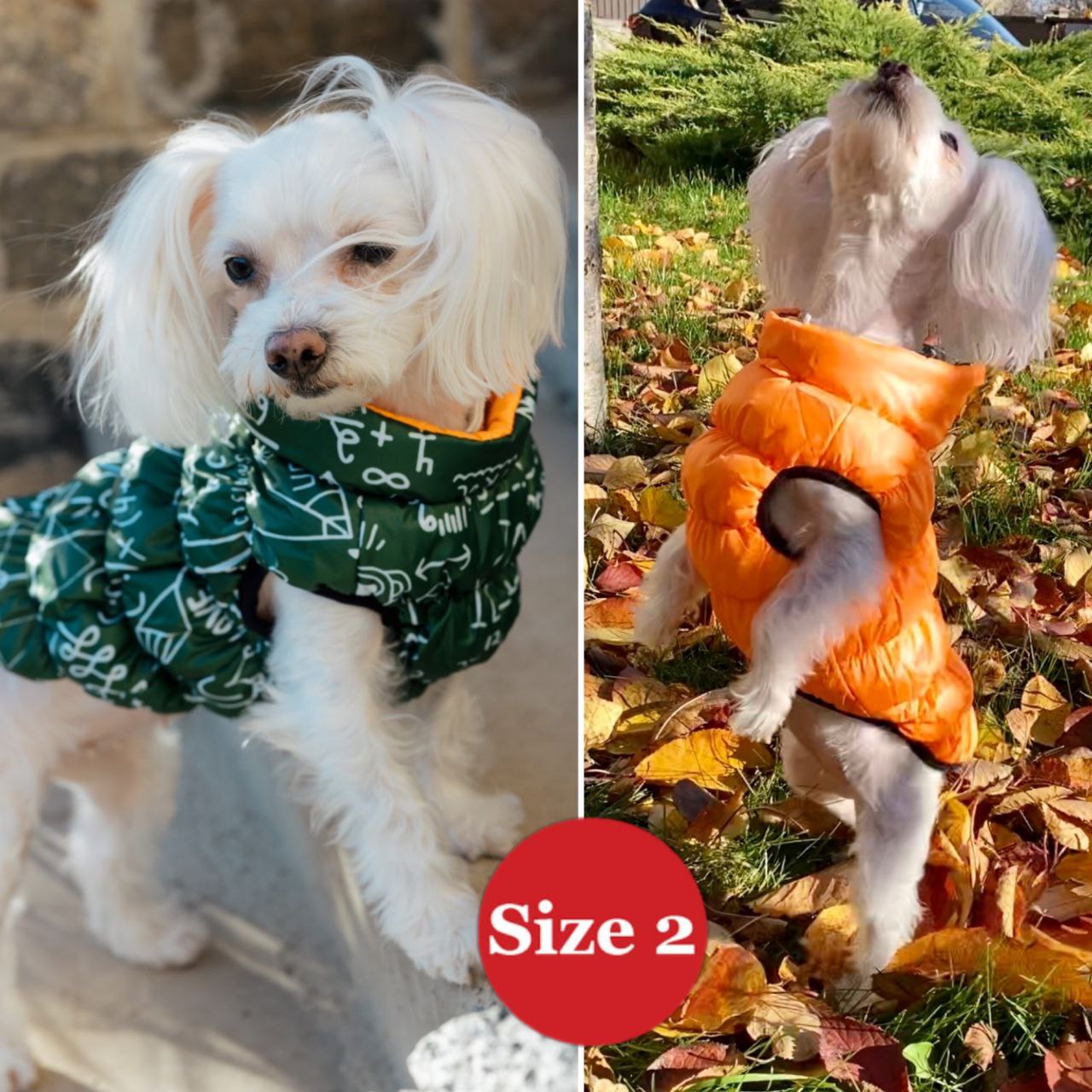 SIRKO sport double "pythagoras green" - Image 2