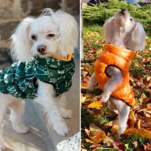 SIRKO sport double "pythagoras green"