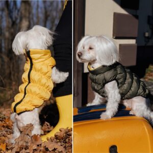 SIRKO sport double "khaki-yellow"