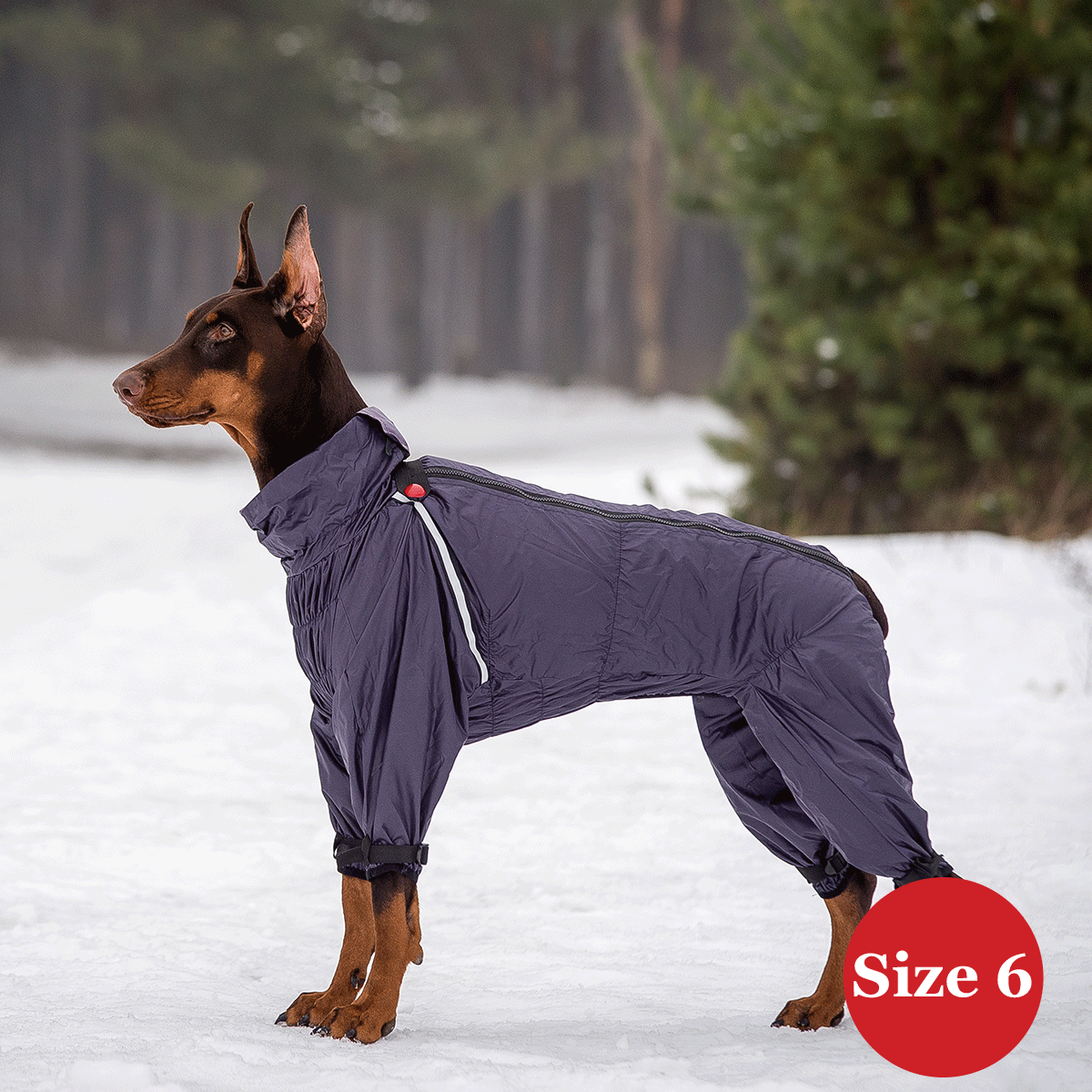 SIRKO rain F - Image 7