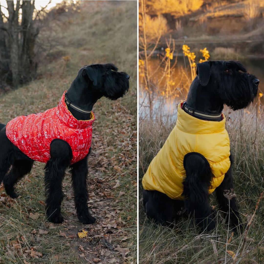 SIRKO sport double "pythagoras red"