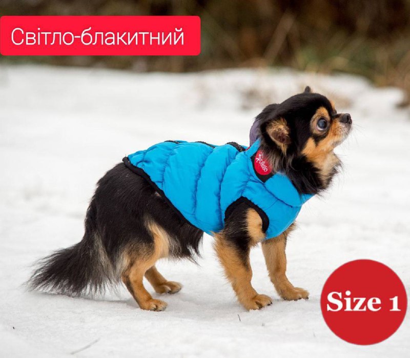 SIRKO sport "blue" - Image 7