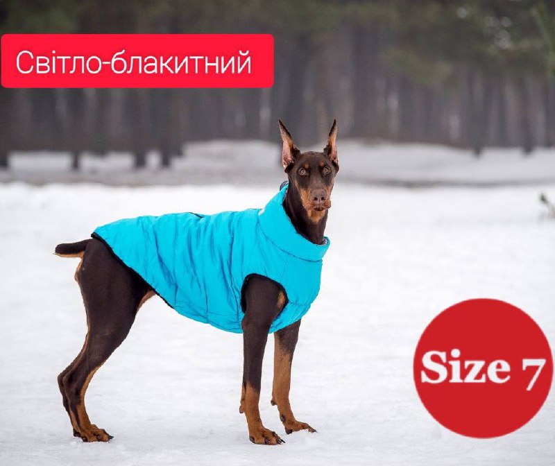 SIRKO sport "blue" - Image 3