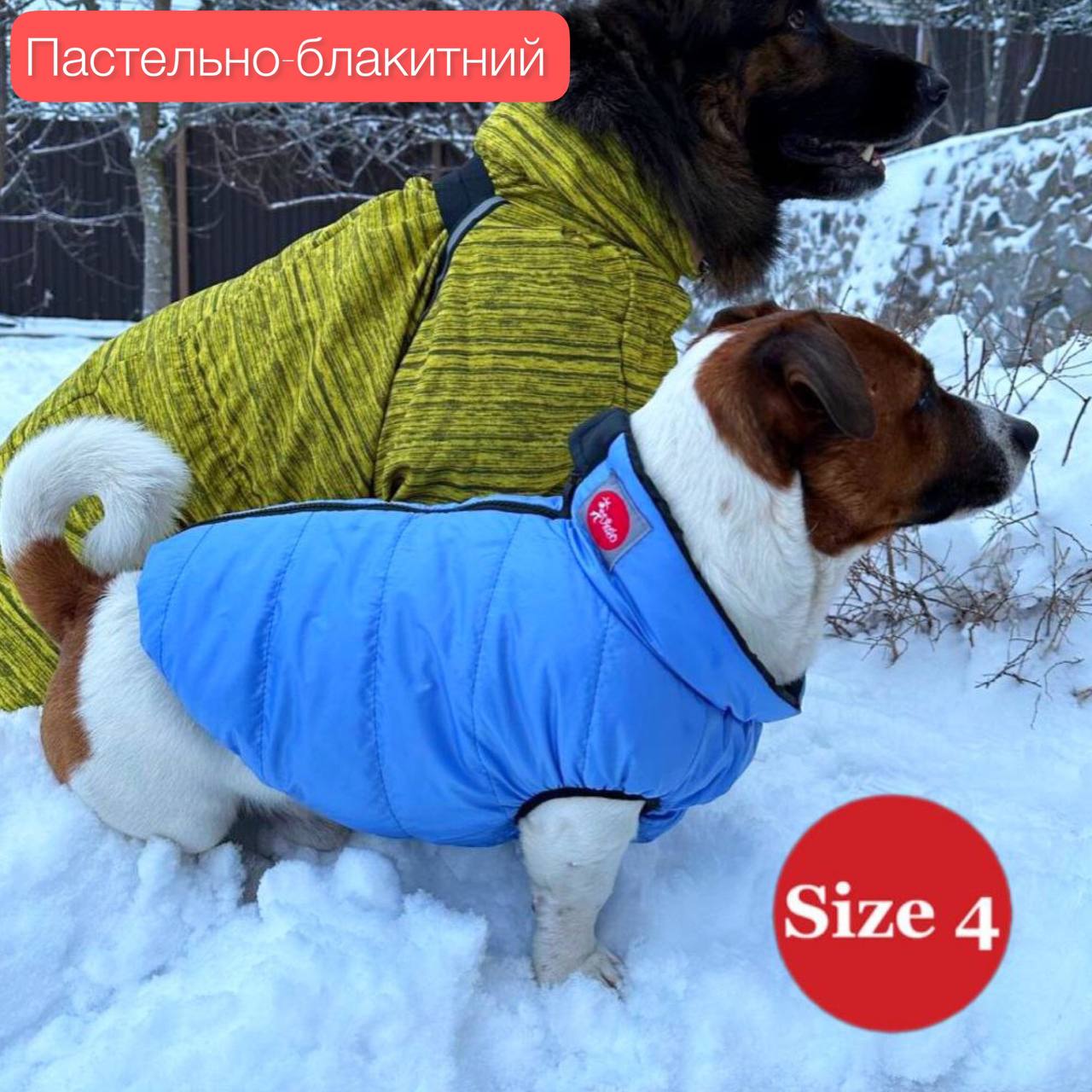 SIRKO sport "blue" - Image 6