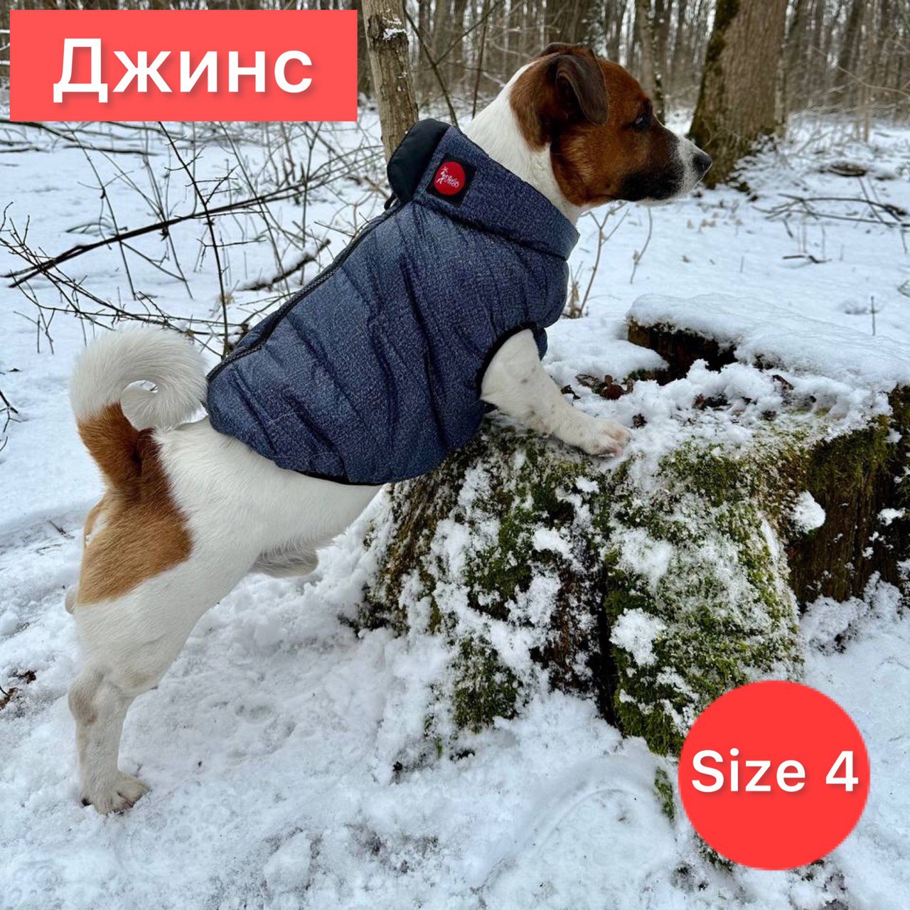 SIRKO sport "grеy" - Image 5