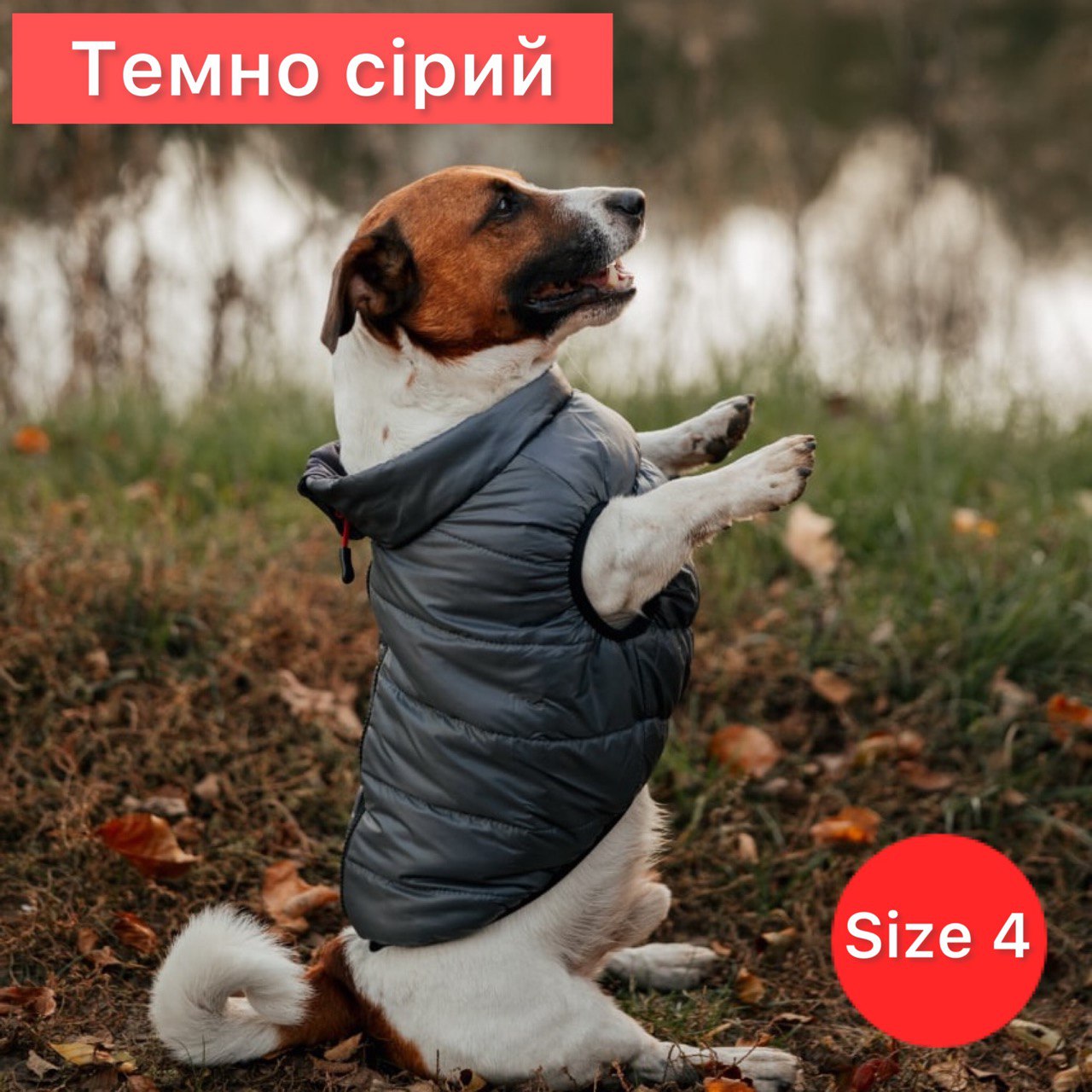 SIRKO sport "grеy" - Image 4