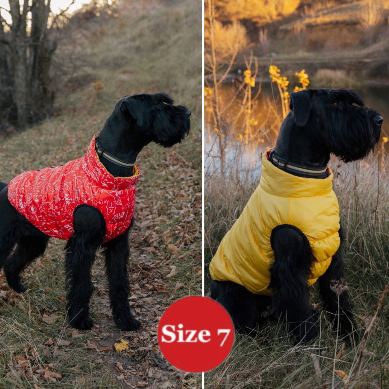 SIRKO sport double "pythagoras red" - Image 2