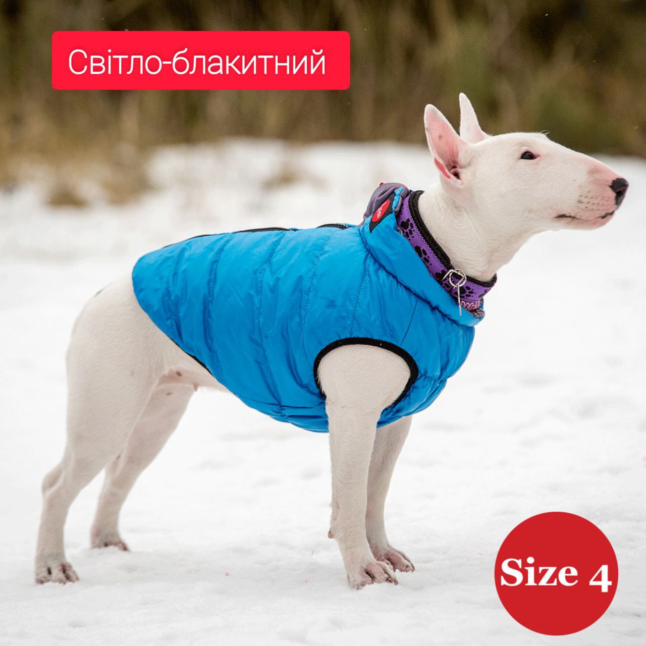 SIRKO sport "blue" - Image 5