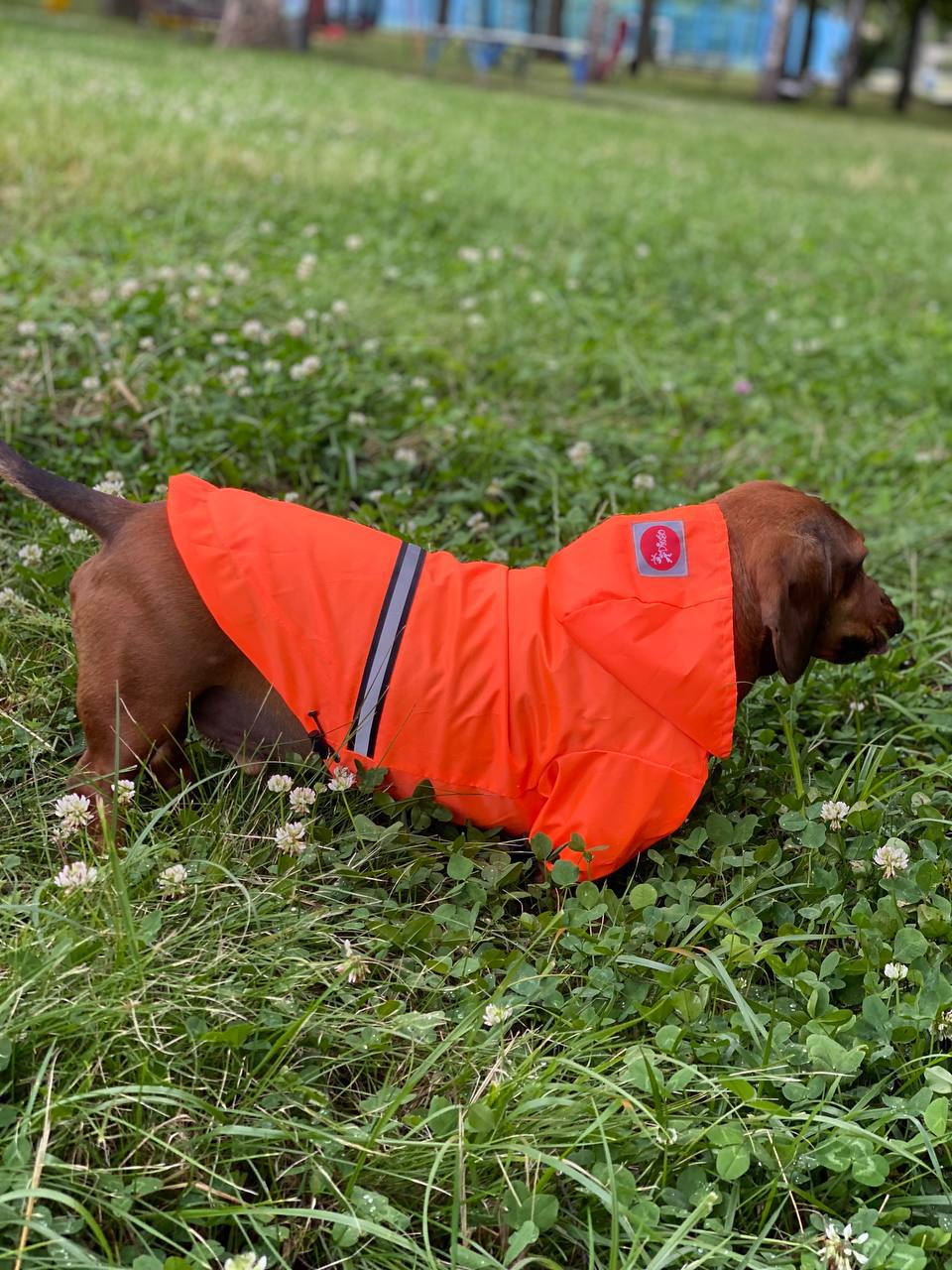 SIRKO jacket orange - Image 3