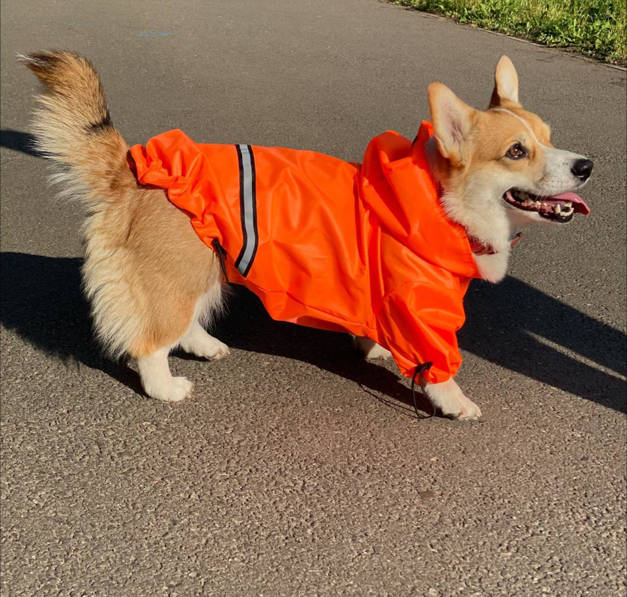 SIRKO jacket orange - Image 2