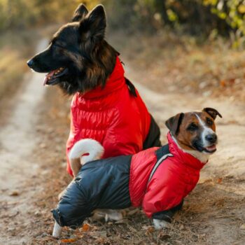 SIRKO snow sintepon print M "Red"