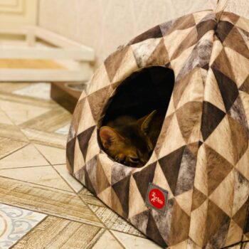 SIRKO rest transformer oval "Triangle"