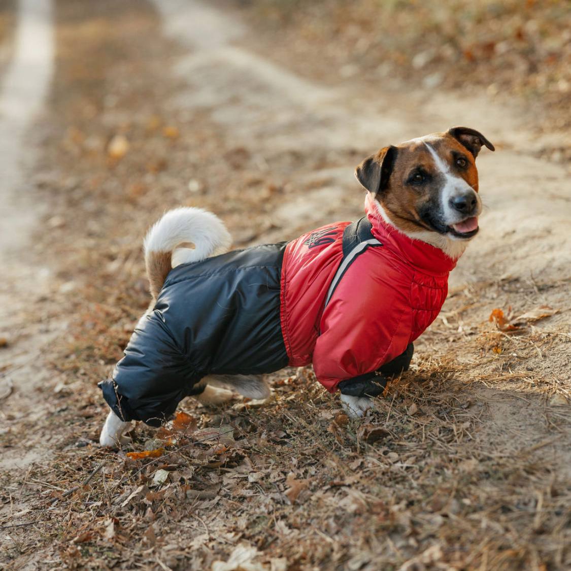 SIRKO snow sintepon print M "Red" - Image 2