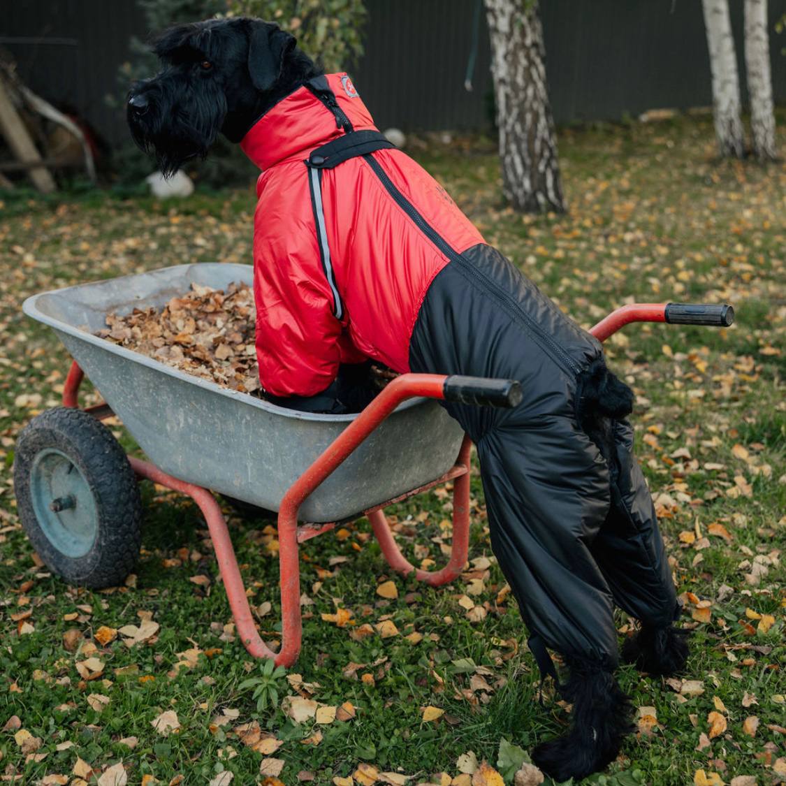 SIRKO snow sintepon print F "Red" - Image 4