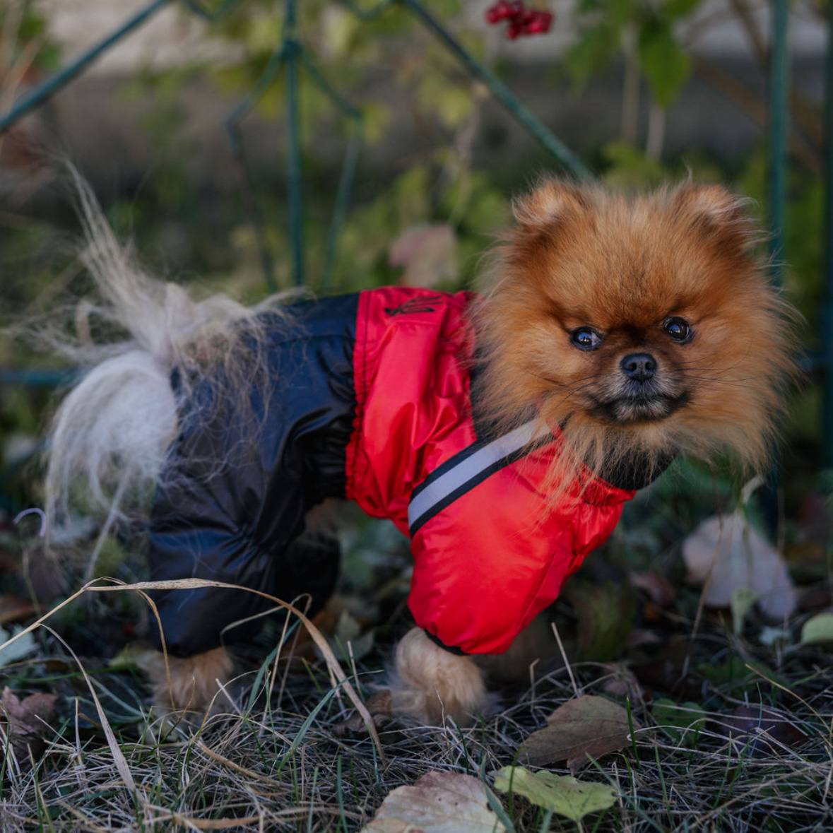 SIRKO snow sintepon print M "Red" - Image 3