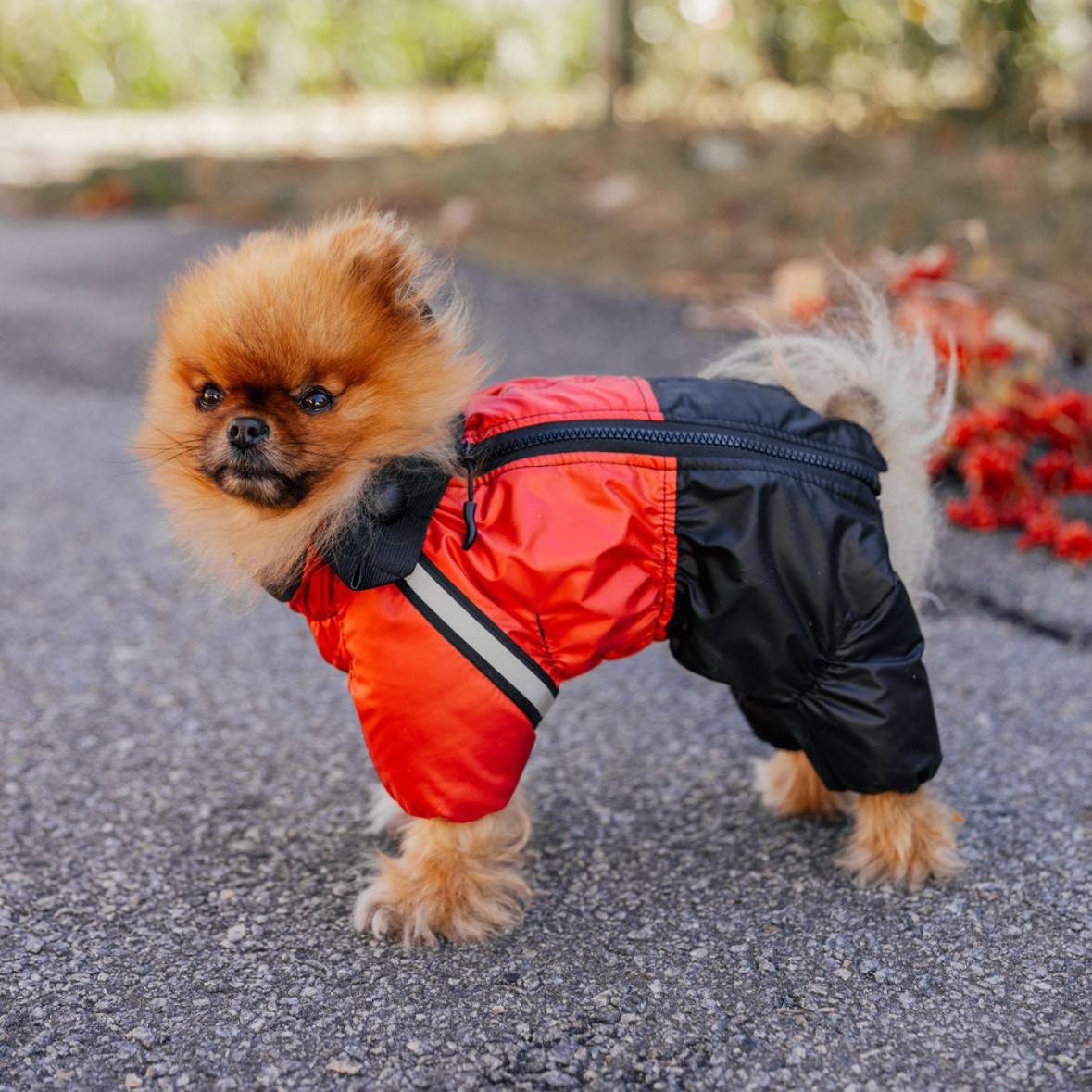 SIRKO snow sintepon print M "Red"