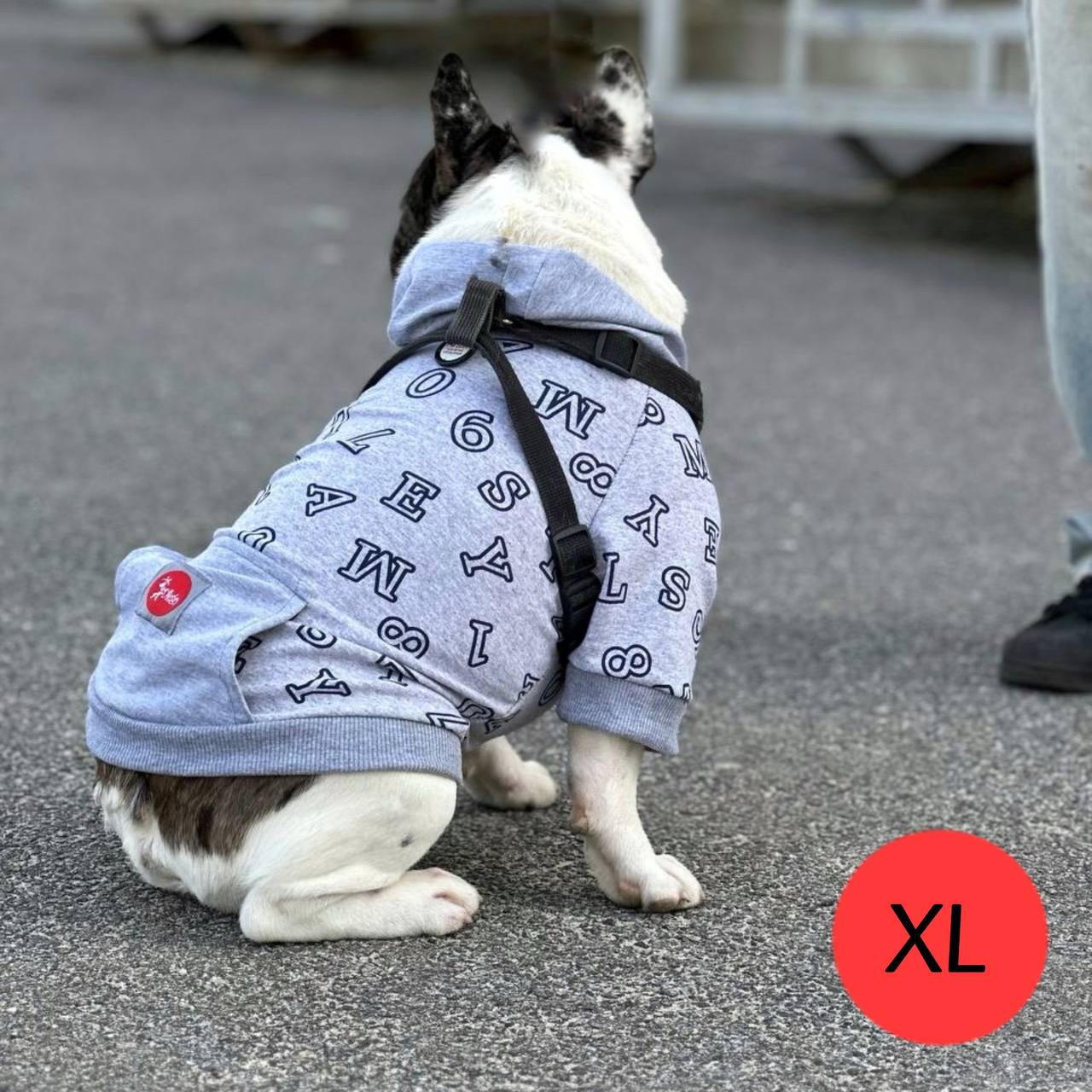 SIRKO hoodie "Grey letters" - Image 3