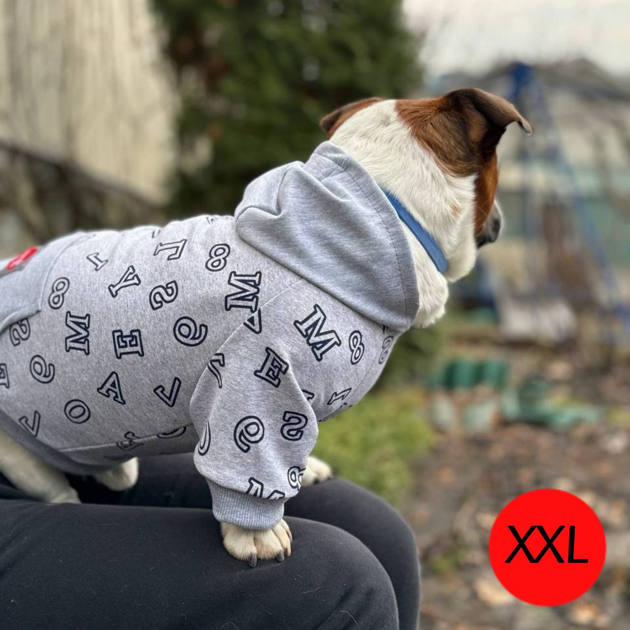 SIRKO hoodie "Grey letters" - Image 4