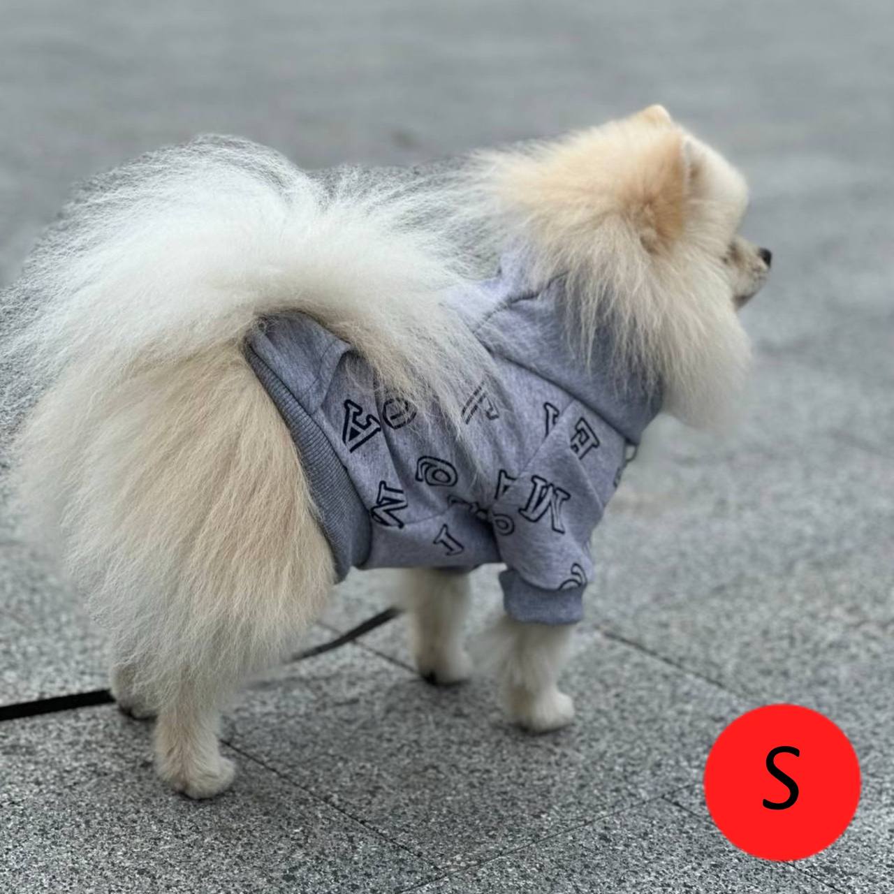 SIRKO hoodie "Grey letters" - Image 2