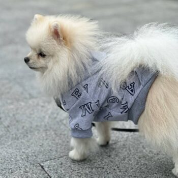 SIRKO hoodie "Grey letters"