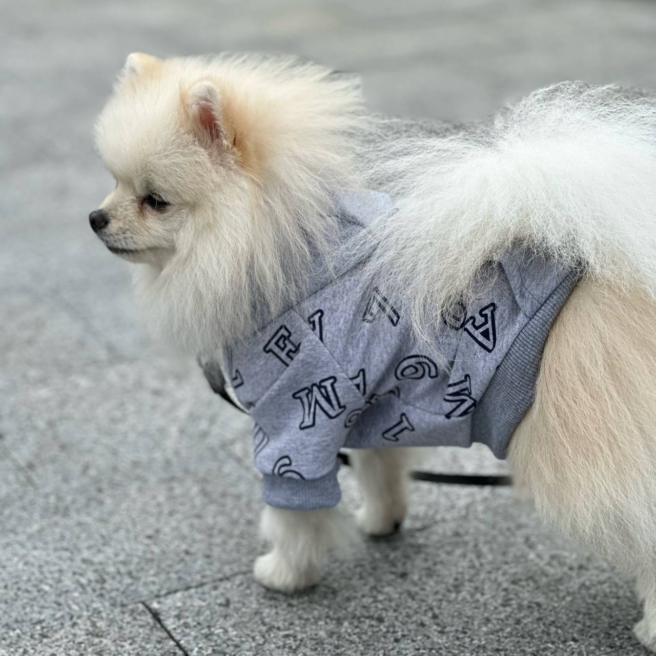 SIRKO hoodie "Grey letters"