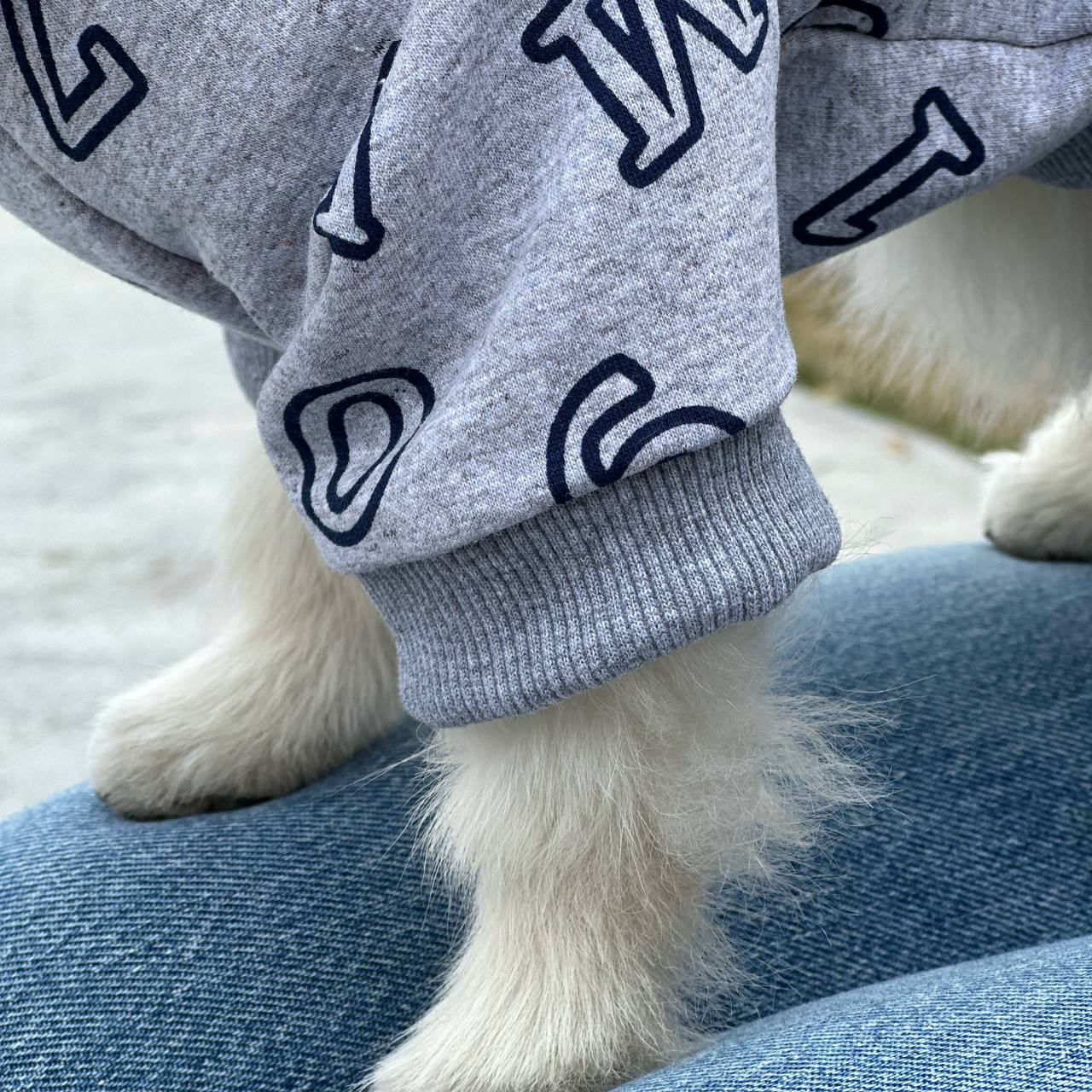 SIRKO hoodie "Grey letters" - Image 5