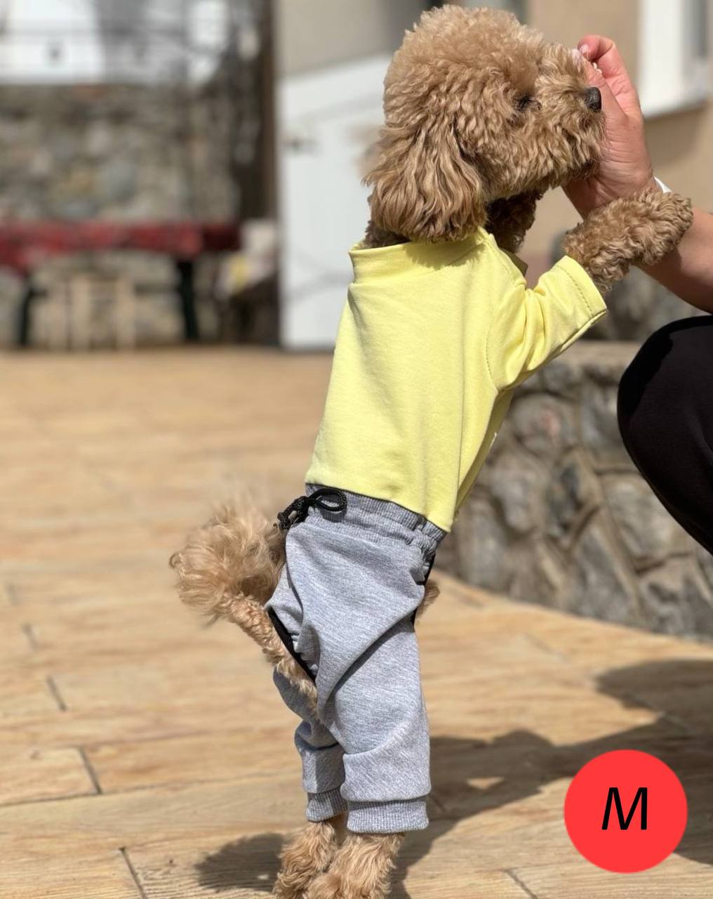 SIRKO suit "Yellow-grey" - Image 3