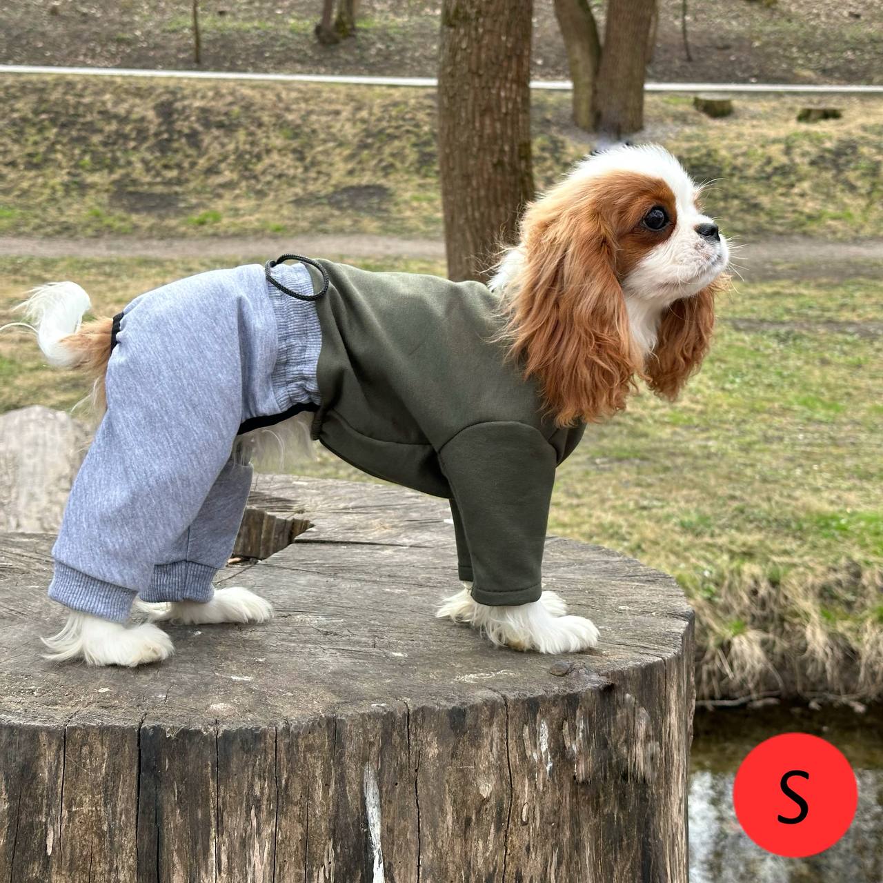 SIRKO suit "Khaki-grey" - Image 2