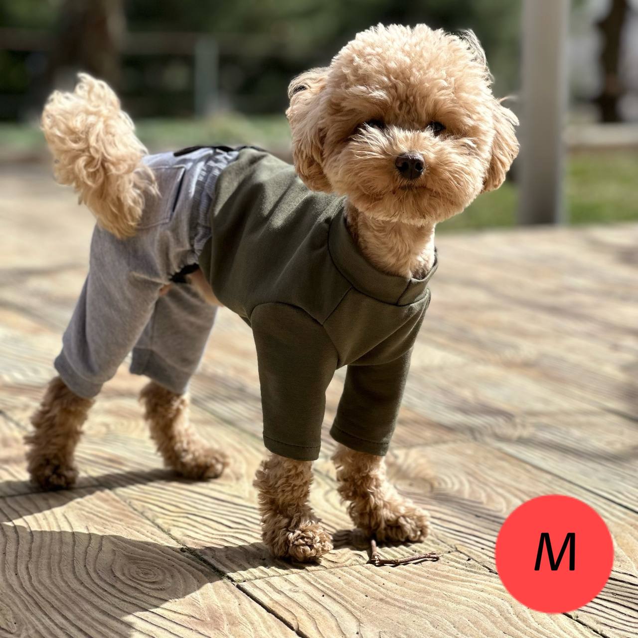 SIRKO suit "Khaki-grey" - Image 3