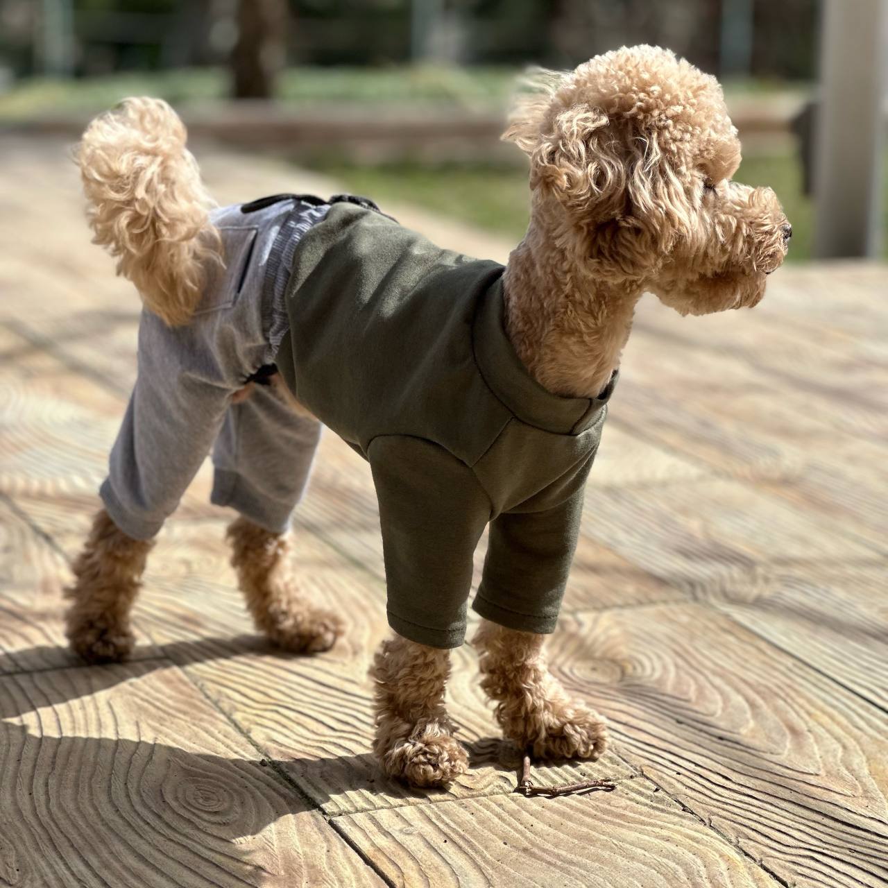 SIRKO suit "Khaki-grey"